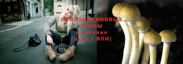 МДПВ Абдулино