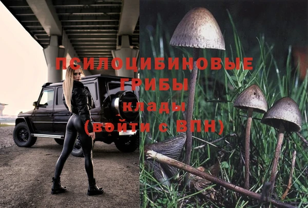 МДПВ Абдулино